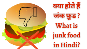what is junk food