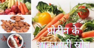 क्या हैं प्रोटीन के शाकाहारी स्रोत? What are the vegetarian sources of protein in Hindi?